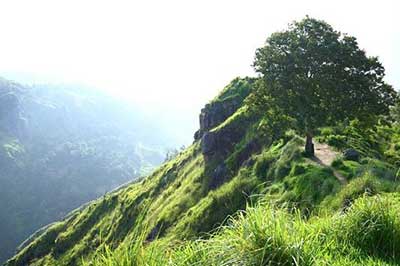 Little Adamas Peak | walklankatours.com